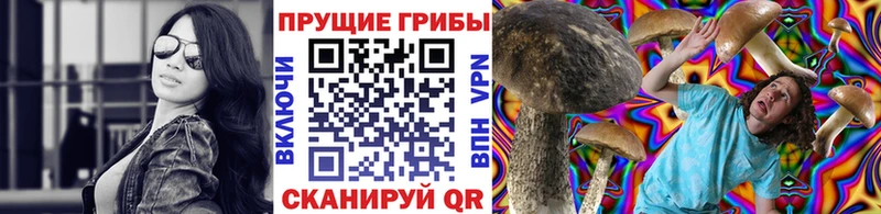 Псилоцибиновые грибы Cubensis  Апшеронск 
